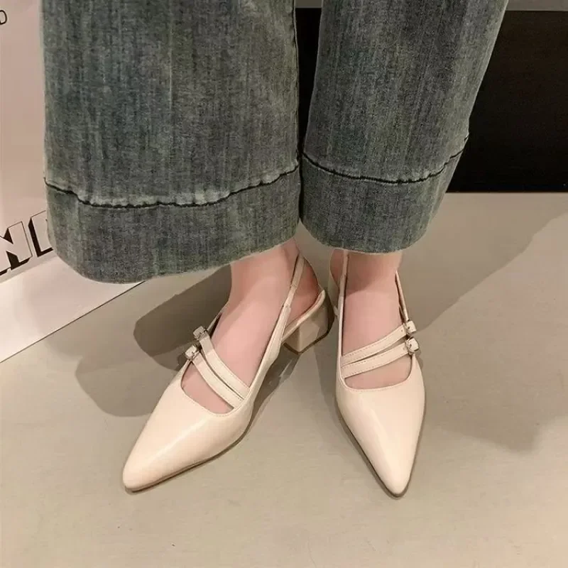 Women's Pointed Toe Block Heel Slingback Sandals Elegant Double Strap Mary Jane Pumps Office Dress Shoes Summer Sandals