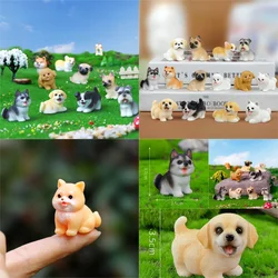 Dollhouse Mini Cute Dog Puppy Animal Decoration Resin Craft Miniature Figurines for Bonsai Microlandscape Fairy Garden Decor
