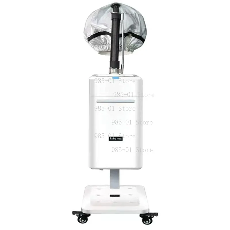 Professional Cap Bonnet Ionic Micro Mist Micromist Hair Salon Steamer Machine with Care Hari SPA Care Treatment
