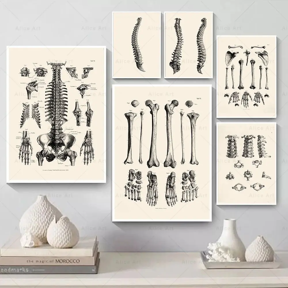 Human Anatomy Skeleton Poster Vintage Skull Brain Heart Wall Art Print Canvas Painting Wall Picture For Doctor Office Room Decor