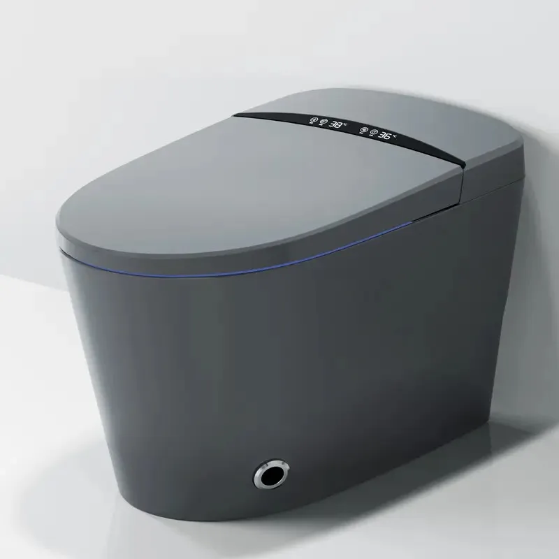 الأدوات الصحية مرحاض بيديت ذكي لخزان المياه الذكي رف أرضي مرحاض ذكي رمادي