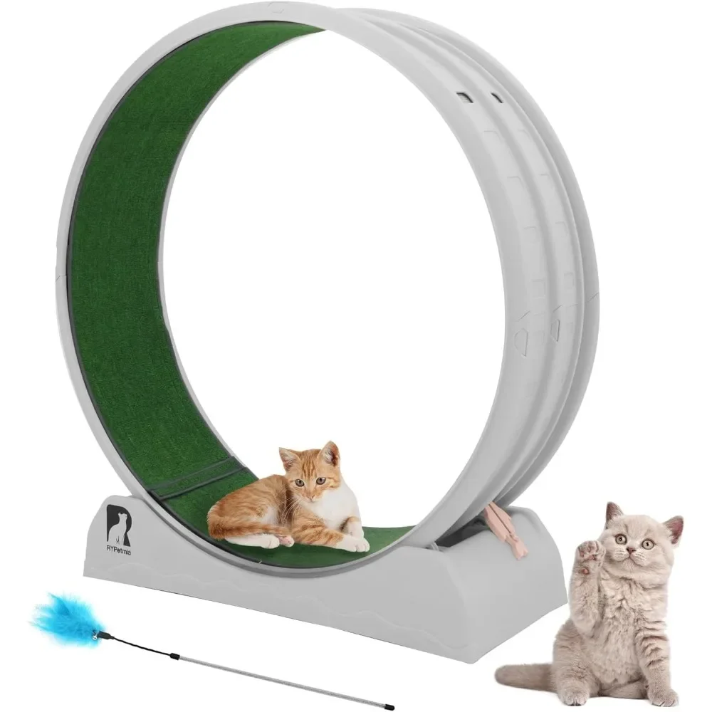 

Cat Exercise Wheel, Cats Treadmill for Indoor, Cat Running Wheel with Carpeted Runway, Easy to Install & Fitness & Hea