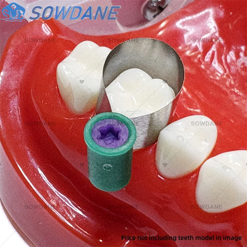 Picture 5: 50pc/Box Dental Matrix Bands Steel Matrix Double-Side Contoured Anatomically Shaped Matrix Bands for Dentistry with Tool