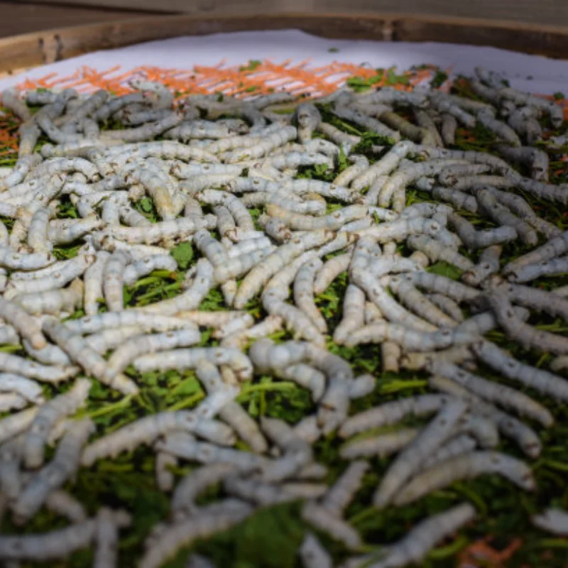 

4 шт. 1/10 Rc Rock Crawler, алюминиевый сплав, 1,9 дюйма, колесные диски с бисером для осевого Scx10 Rr10 Wraith 90048 90018 Trx4 D90, радиоуправляемые автомобильные детали