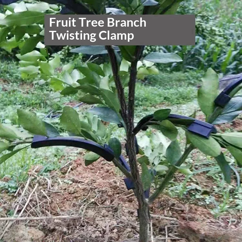 10Pcs Fruit Tree Branch Bender Clip, Plant Branch Fixing Clamp, Bonsai Shaping Bending Tool for Branch Angle Adjustment & Shape