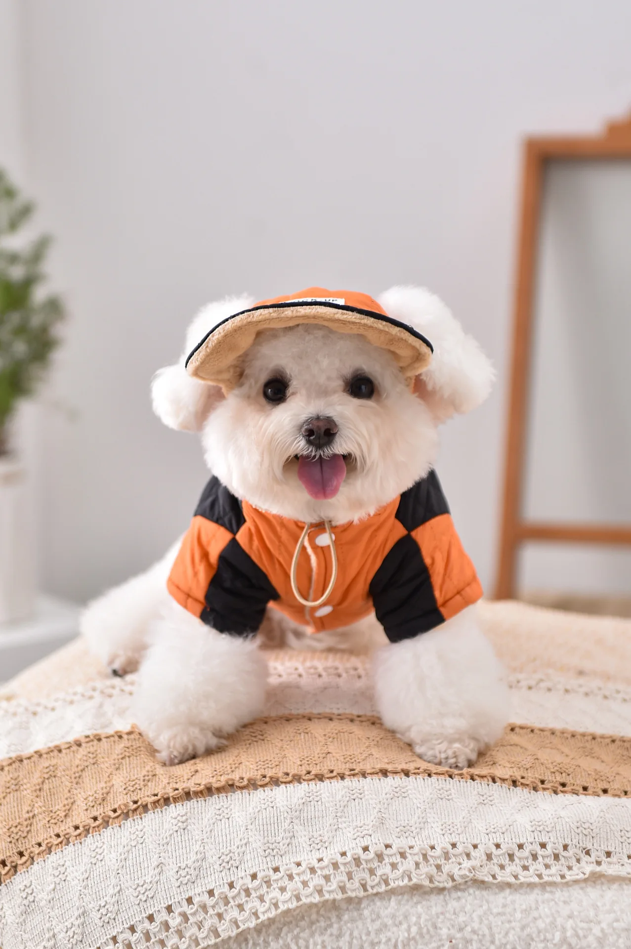 Winddichtes Mantel- und Mützen-Set für französische Bulldogge, Hundekleidung, Sweatshirt, Haustier-Outdoor-Outfit, Jacke, XS, 4XL, Katze, Chihuahua, Möpse – Detail 5