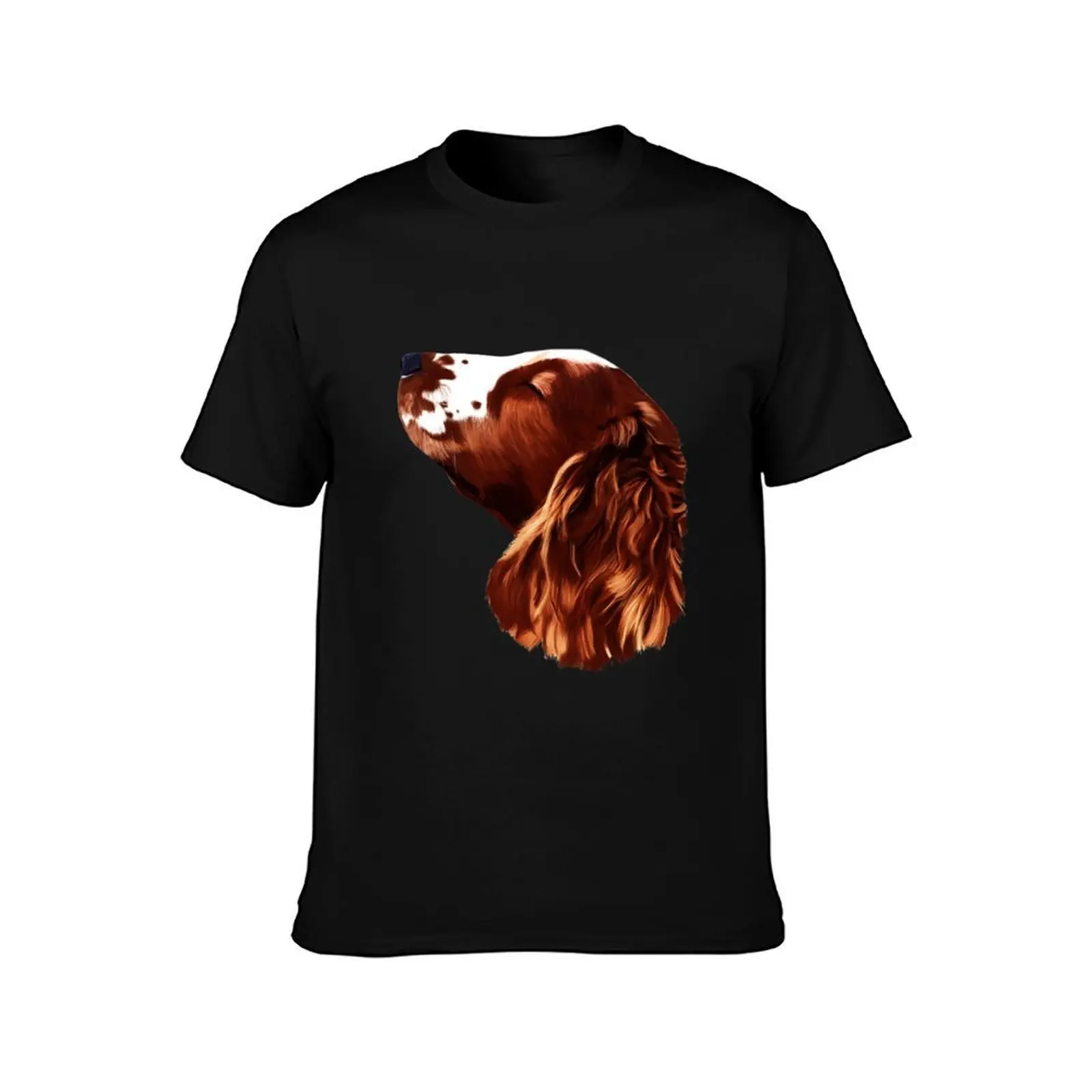Welsh Springer Spaniel T-Shirt Casual Loose Daily Wear T-Shirt