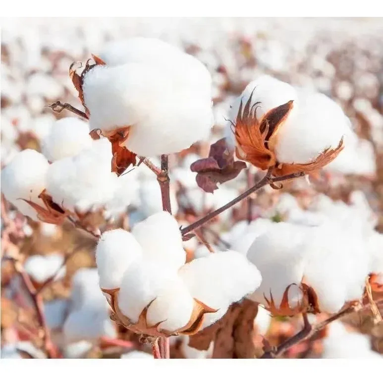 

Свободная круглая футболка больших размеров Ne ort Sve для женщин, зимняя коллекция Cleanfit Sle, женская внутренняя одежда трапециевидной формы