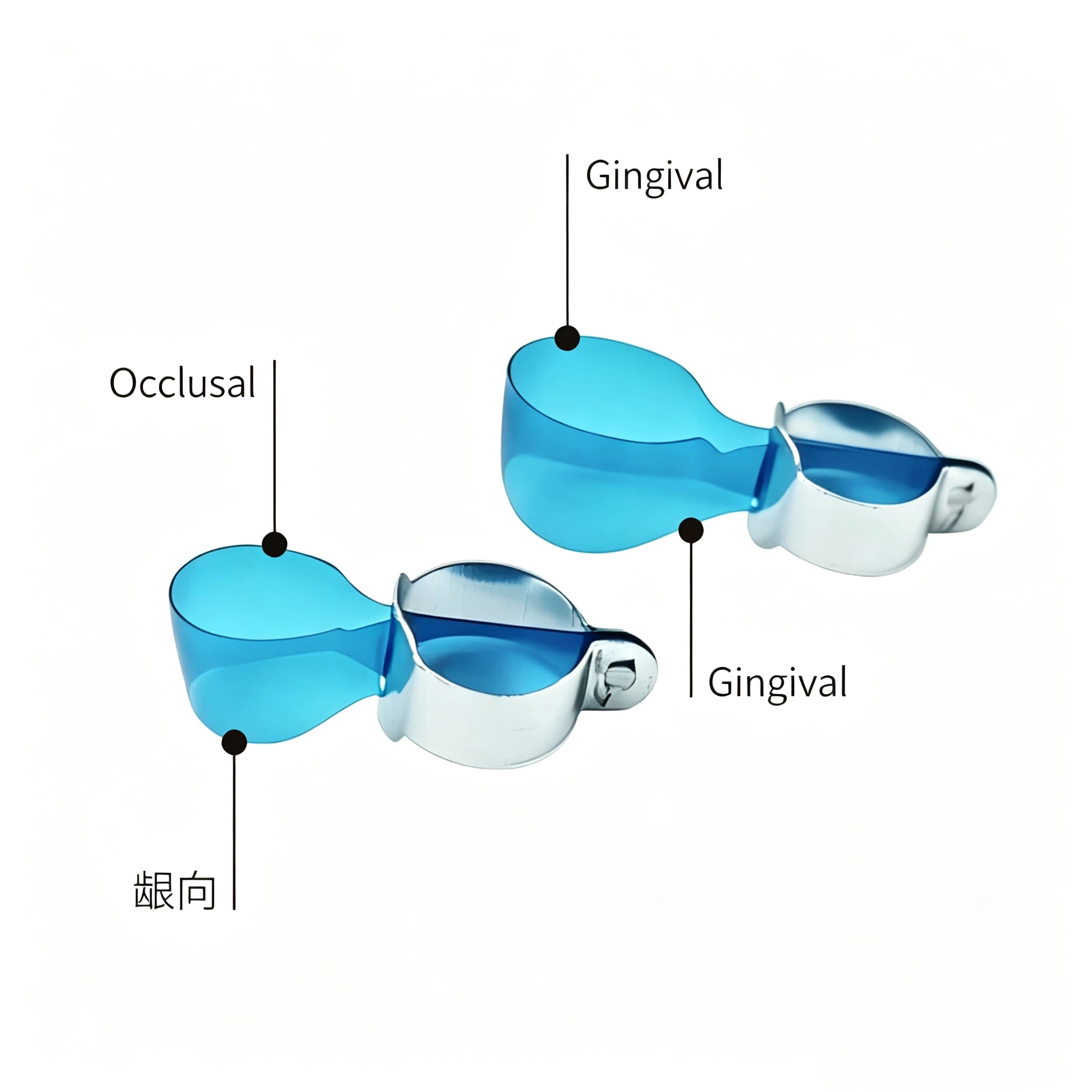 Dental Matrix Bands Refill Pack Transparent Blue Double Curved Aluminum Lock Ring For Premolar Molar Restoration Auxiliary Tools