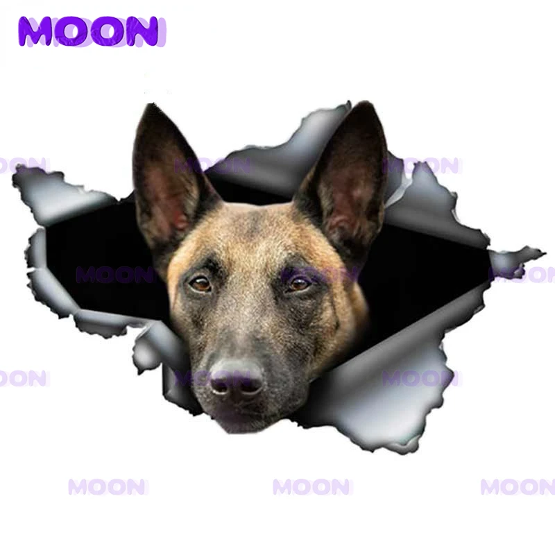 Personalized Animal Belgium Malinois Car Full Body Sticker Tear Pet Dog Waterproof and Sunscreen Sticker