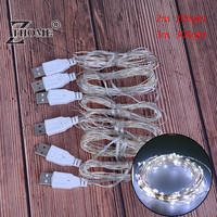 2M 20Led 3M 30Led Usb Operated Mini Led Copper Wire String Fairy Lights  Led