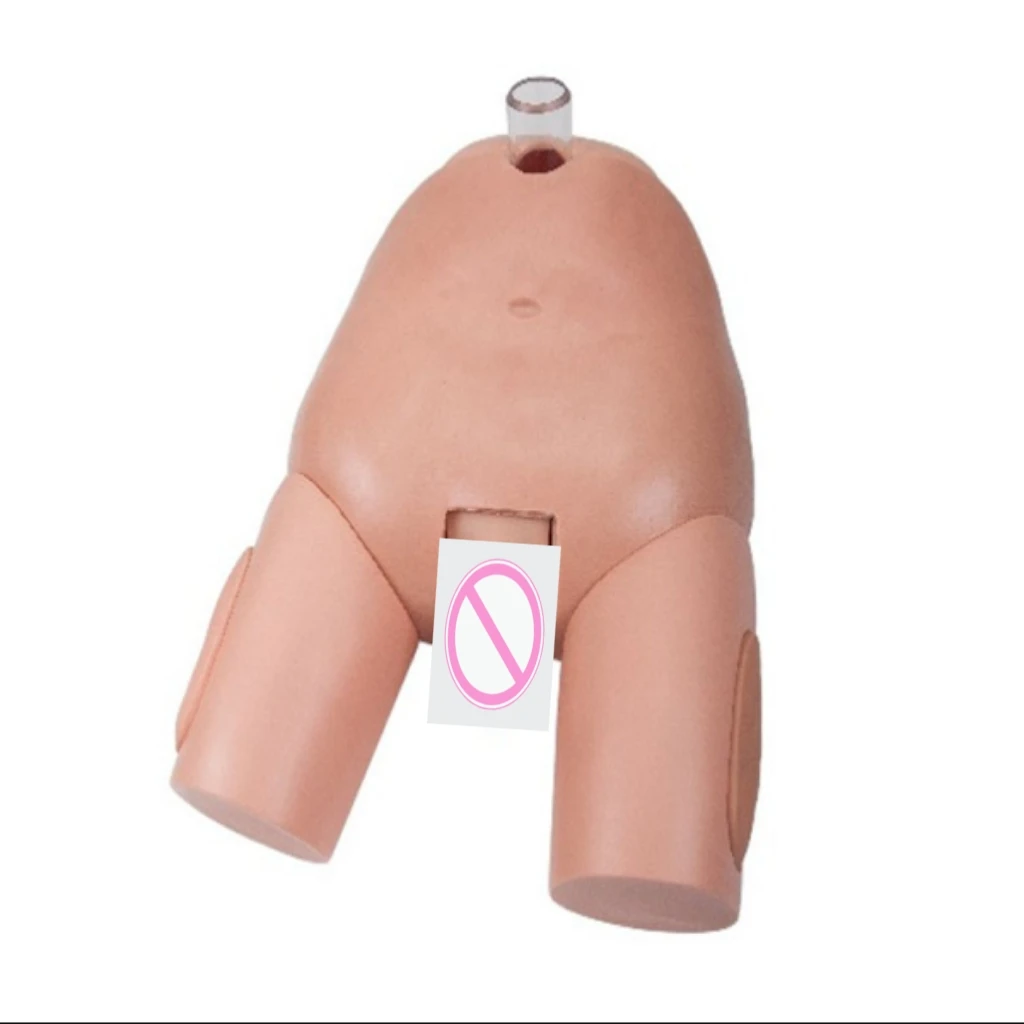 Male Bladder Puncture & Female Catheterization Simulation Model Medical Educational Supplies for Medical Colleges Training Tool