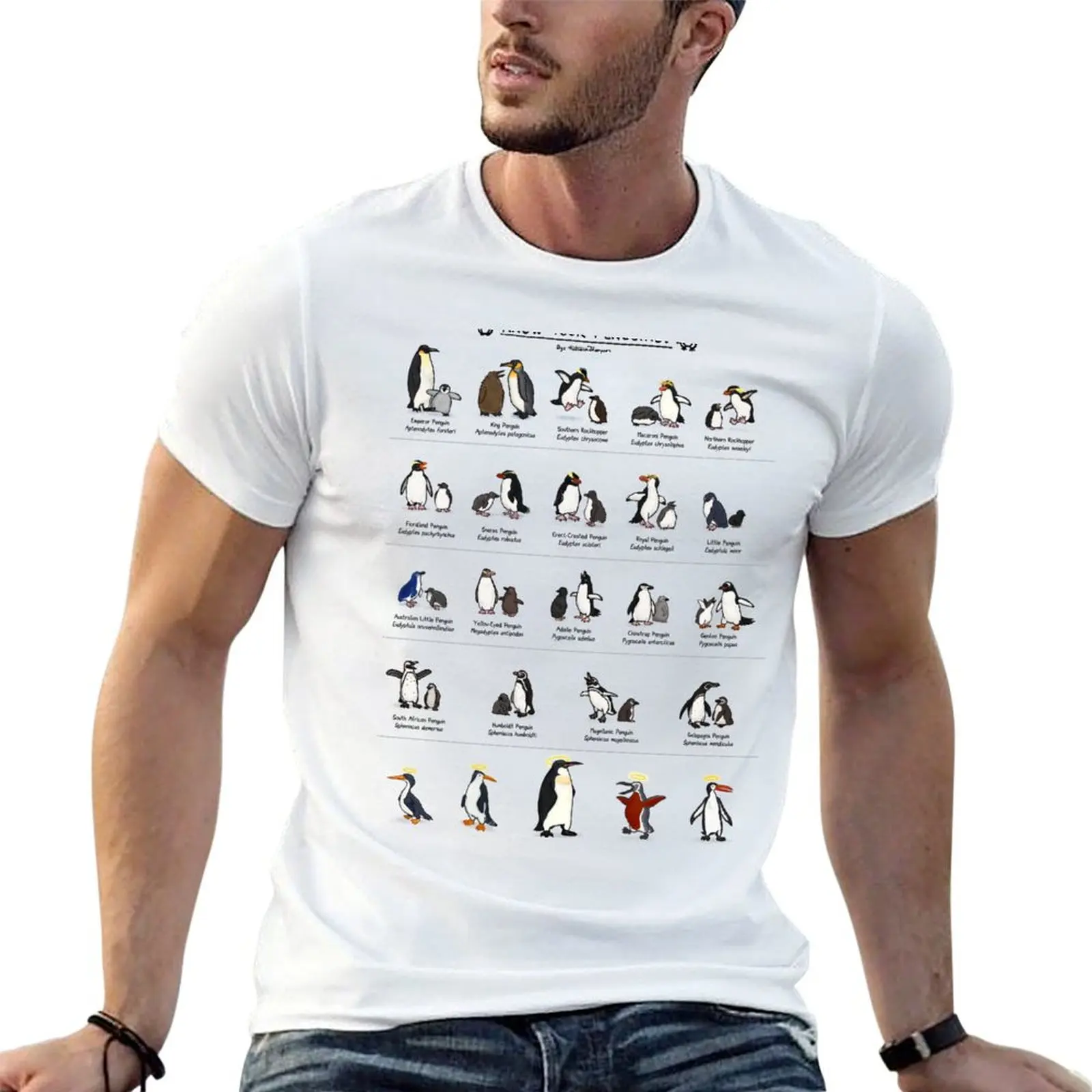 Illustrated Guide to Penguins T-Shirt Big Size Simple T-Shirt