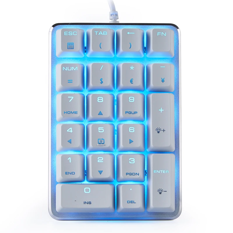 Numeric Keyboard Custom 21keys Wired Single-mode RGB Keypad Financial Accounting Laptops for External Number Mechanical Keyboard