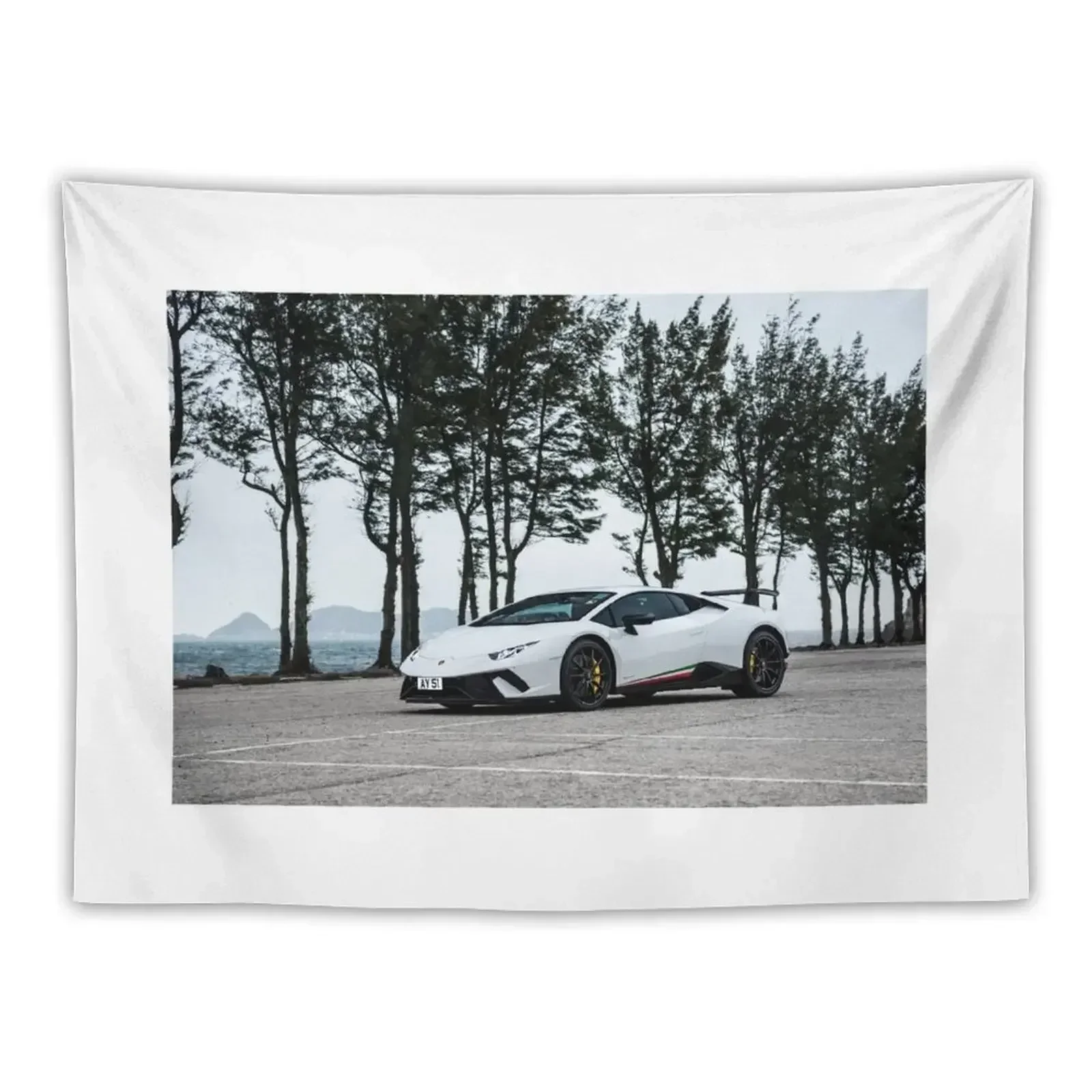 

Huracan Performante Tapestry Wall Decor Hanging Decoration For Rooms Decoration Aesthetic Tapestry