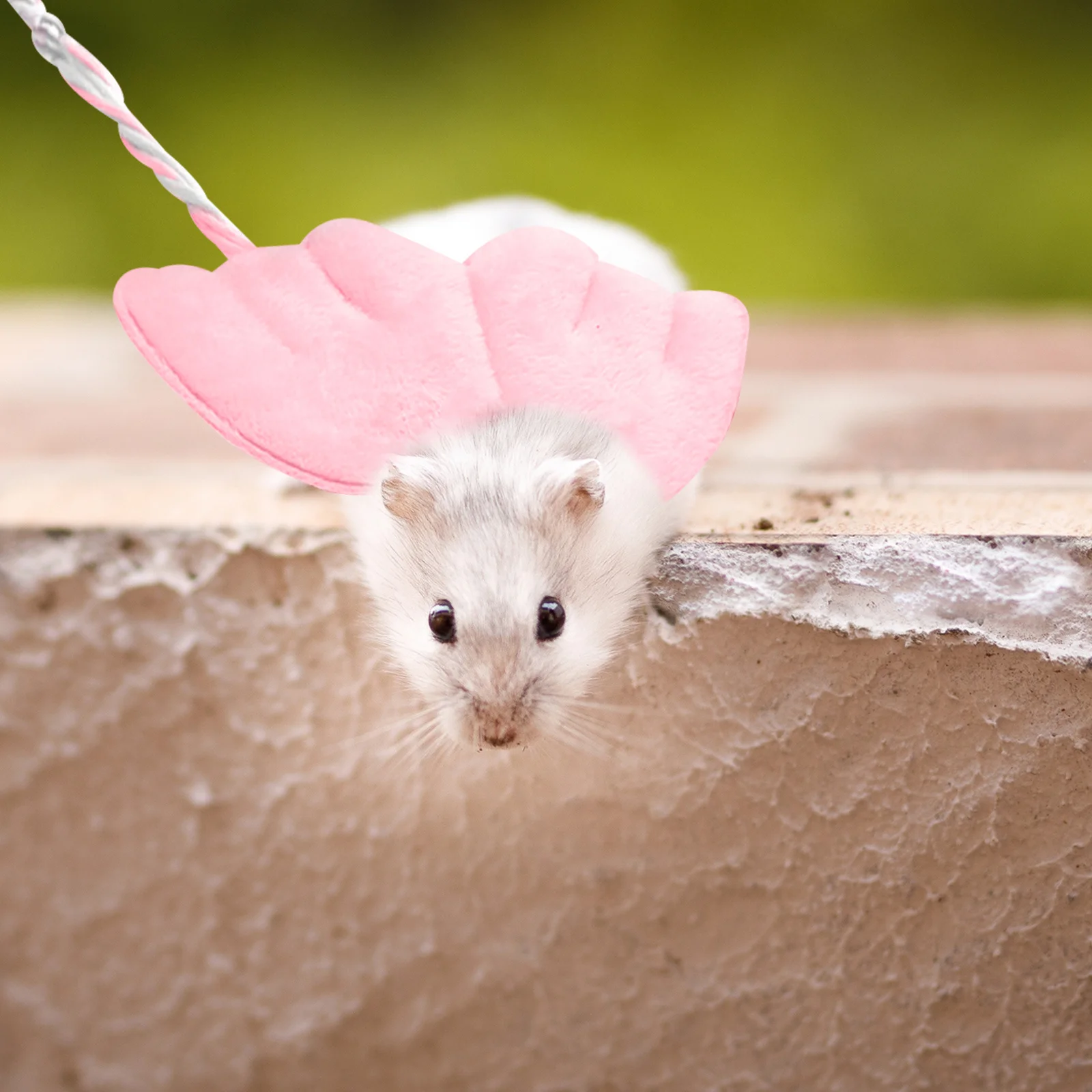 

Hamster Lead and Harness Adjustable Vest Design Comfortable Small Pet Walking Gear for Hamsters Chinchillas Guinea Pigs