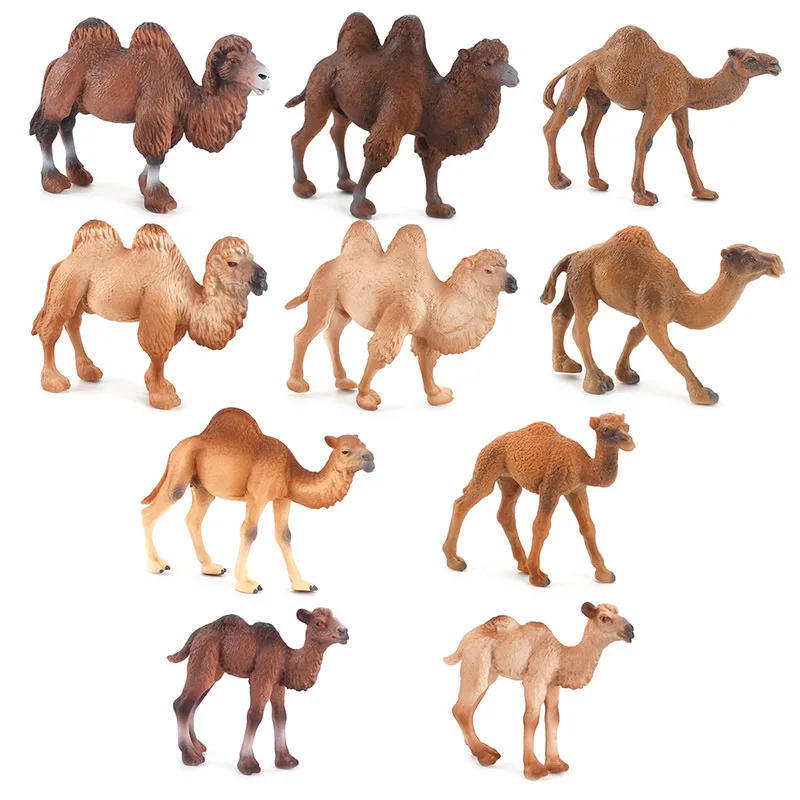 Simulation Animal Bimodal Unimodal Camel Model Children's Cognitive Education M…