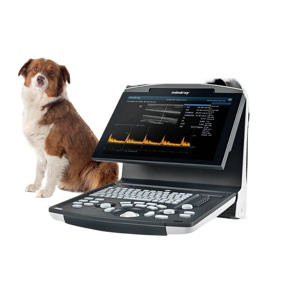 Mindray Digital Veterinary Ultrasound Machine DP-10Vet B/W System