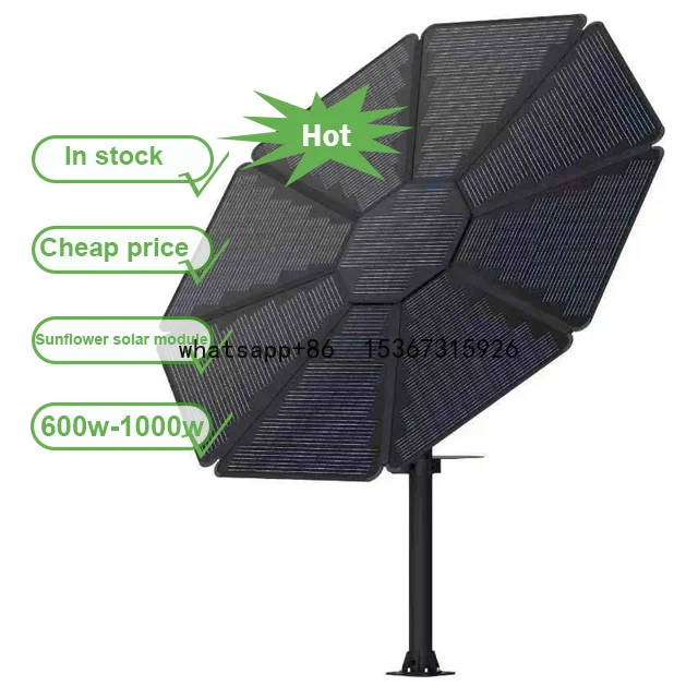 1000W 3000W  PV On-grid Off-grid System Flower Designed Bifacial Solar Panel Solar Sunflower Kit for Home Energy System