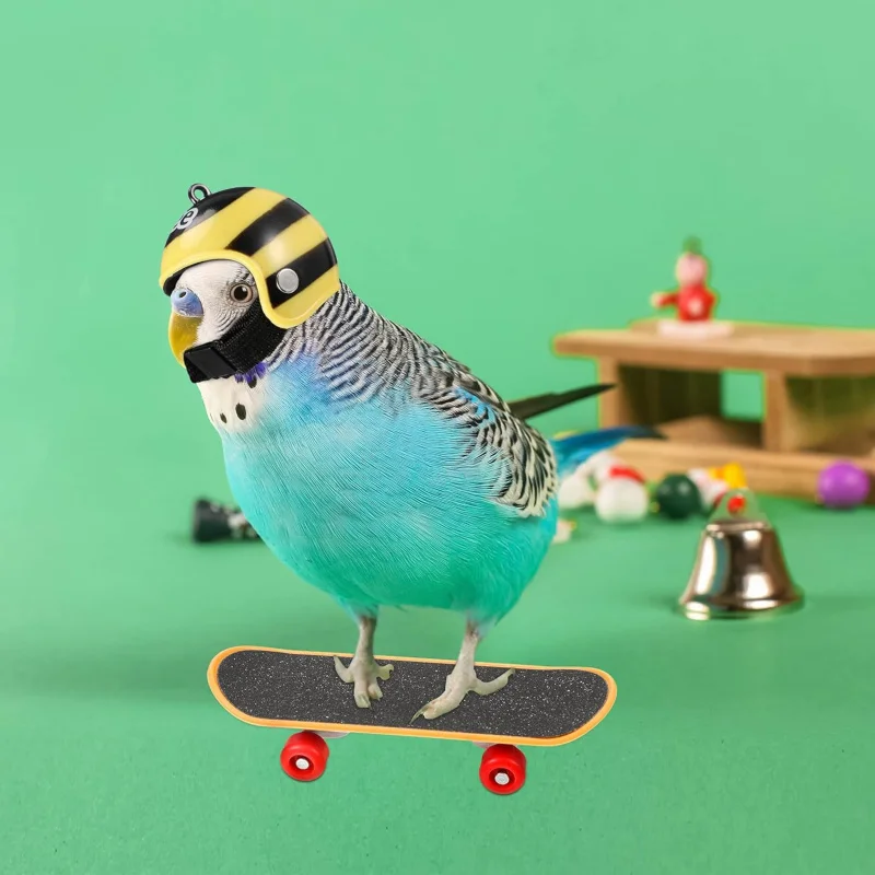 

Christmas party gift for turtles, hamsters, parrots, reptiles, 4-piece set, helmet, hat, and mini skateboard