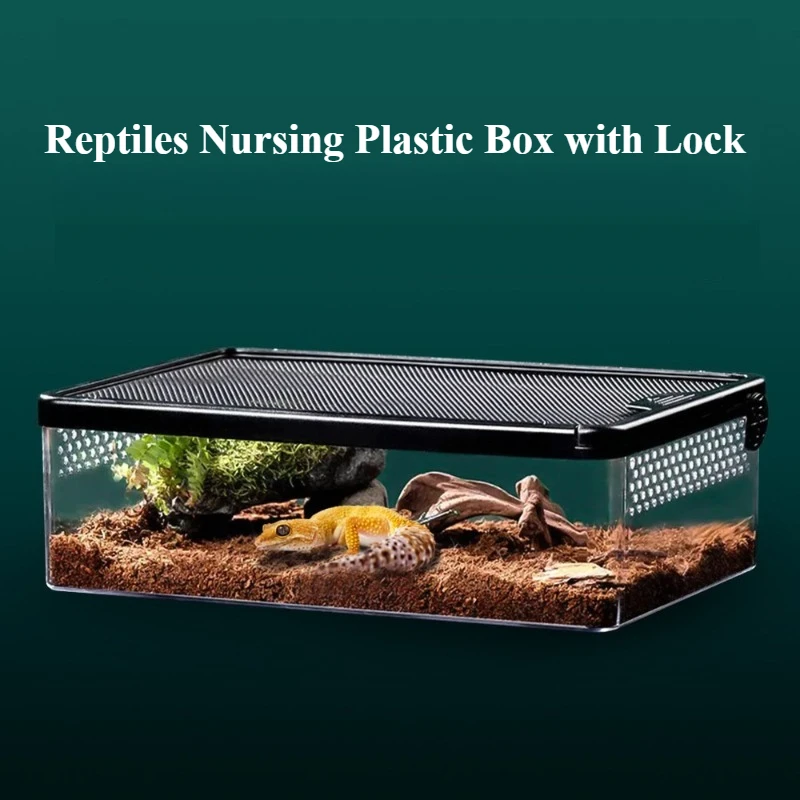 

Reptiles Nursing Breathable Terrariums with Lock Anti-Escape Pull Up Cover Clasp Snake Feeding Plastic Home Storage Boxes