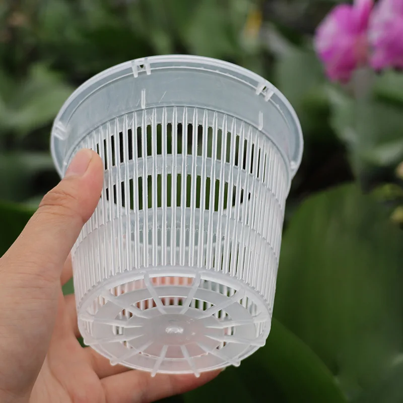 Meshpot Root Control Clear Pot for Orchid Cattleya Planting with Air Holes Planter Home Decoration Plastic Flower Pot for Plants