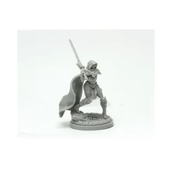 Resin kit KINGDOM DEA 28284 Pinup Order Knight