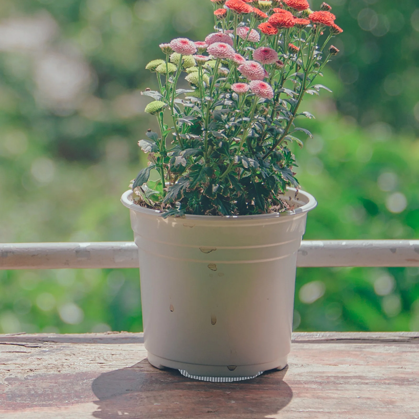 Рисунок 3 - сетчатый коврик для цветочного горшка