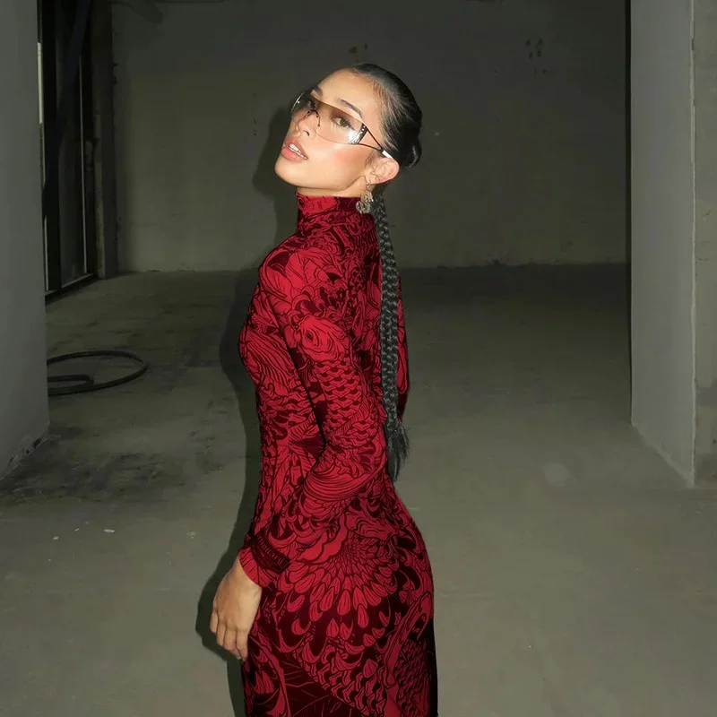 

Vintage Print Mesh Maxi Dress For Women 2025 Trendy Long Sleeve Slim Sheer Bodycon Gown With Stand Neck Elegant Party Outfit New
