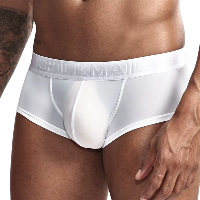 Boxer Underwear Men Sexy Lingerie Ice Silk Boxer Shorts Penis Pouch Panties Cueca Masculina Ropa Interior Hombre Transparent