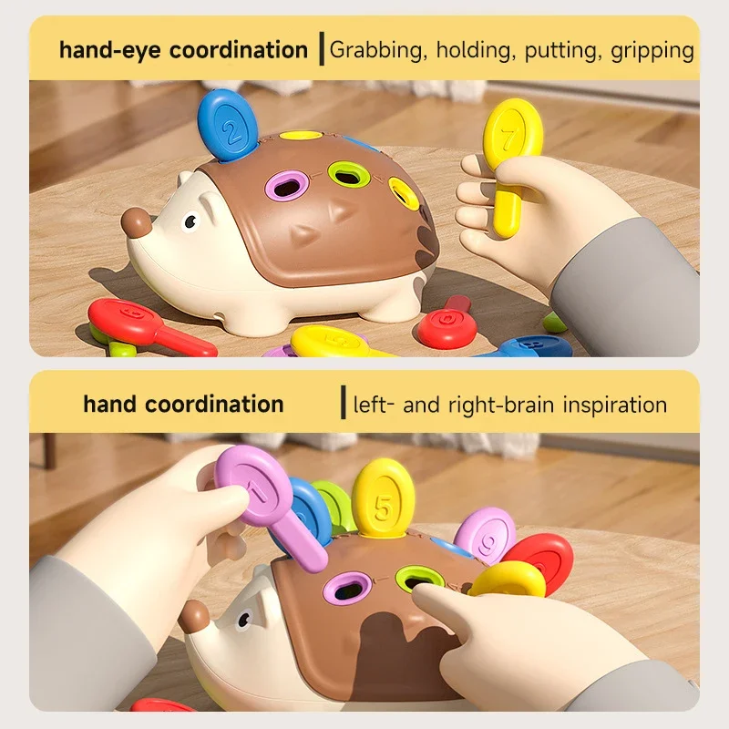 Montessori Hedgehog Toys Training Baby Concentration Toys Children Early Education  Sensory Toys Kids Colour Cognitive Toys