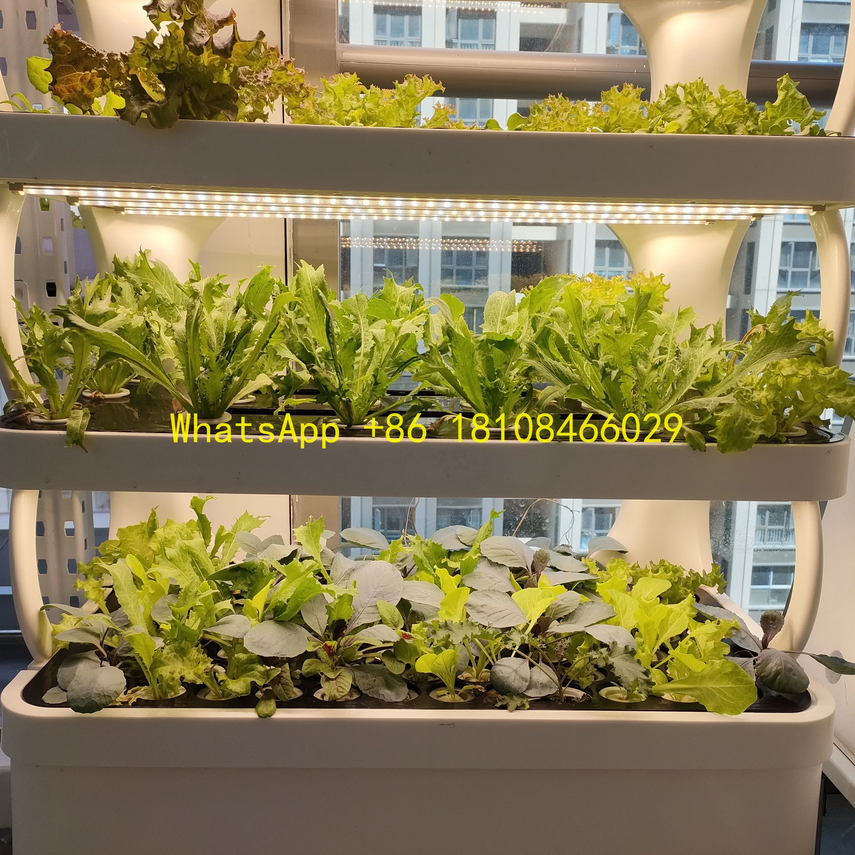 

Cabinet Indoor Hydroponic System for Indoor Plants Intelligent Vegetable Growing