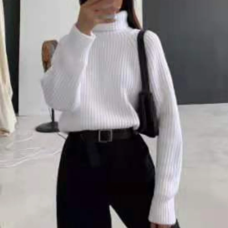 European and American Turtleneck Sweater Retro Solid Color 2021 Fashion New Autumn and Winter Thickened Loose Outer Jacket Women