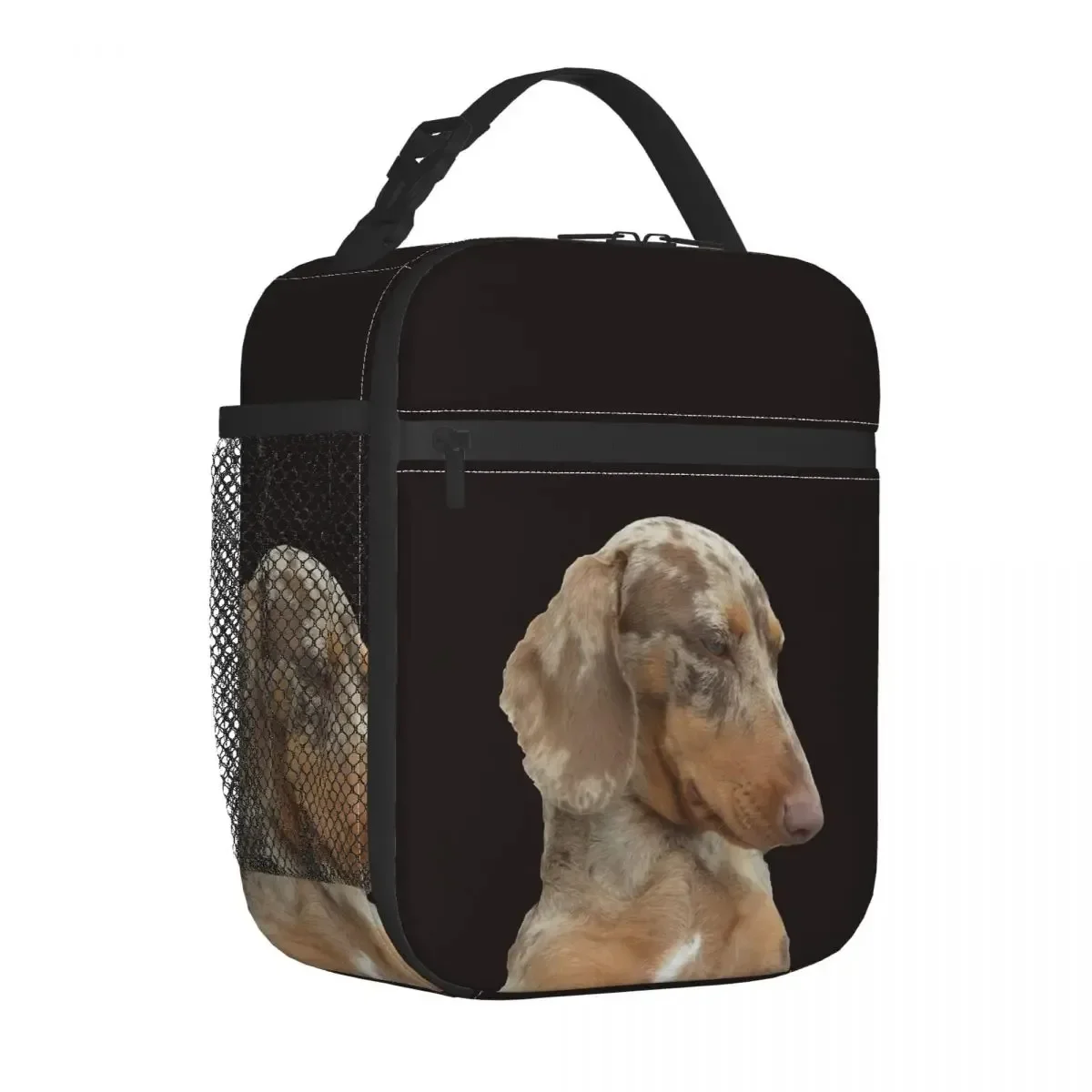 Sacchetti per il pranzo isolati bassotto sacchetto termico contenitore per pasti Wiener salsiccia Doxie Dog Lover Tote Lunch Box sacchetto per la conservazione degli alimenti College