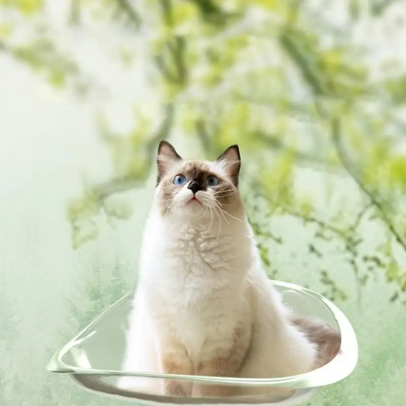 Suction Cup Cat Bed Window High Transparency Cat Window Seat Suction Cup Design Cat Shelves For Napping Sleeping And Watching