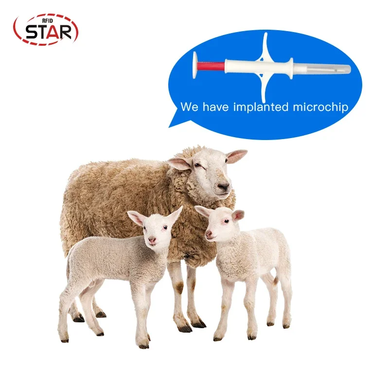 (10 قطعة/الوحدة) 2.12*12 ملليمتر 134.2 كيلو هرتز رقاقة زجاجية تتفاعل لتحديد الحيوانات الأليفة رقاقة حقن البلاستيك حقنة البقرة خنزير الحصان