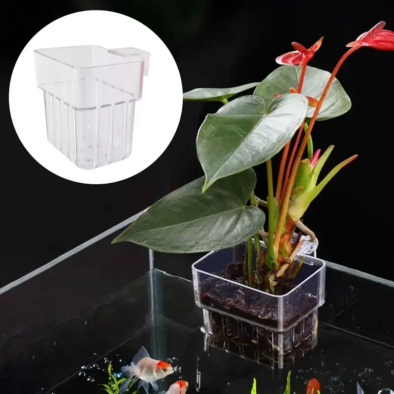 

1PC Hydroponic Planting Cup Household Water Grass Planting Cup Wall Mounted High Transparent Fish Tank Landscape Decoration