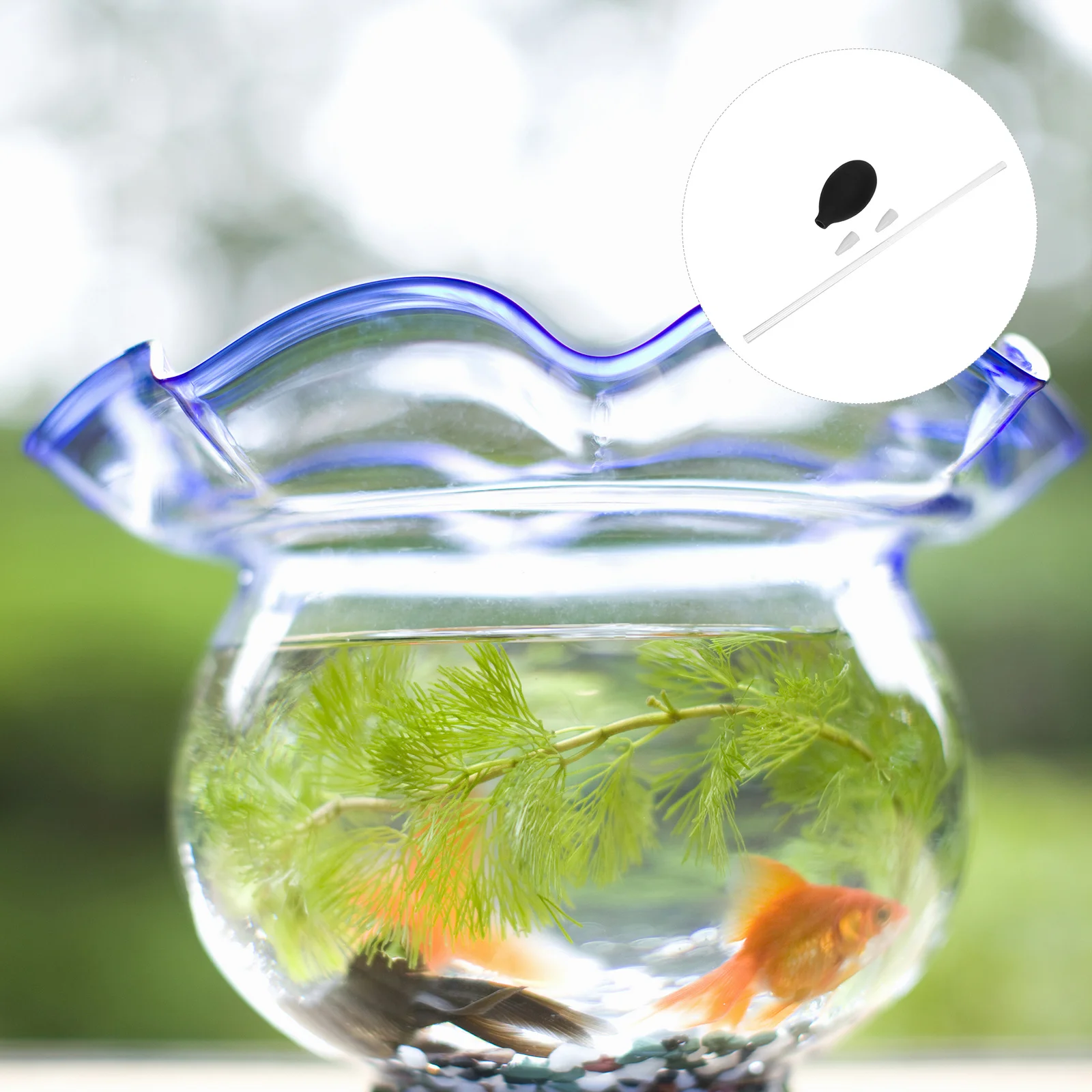 

Coral Feeder 30Cm Long Black Aquarium Cleaning Tool Transparent Acrylic Tube With Silicone Sucker For Fish Tank Accessories