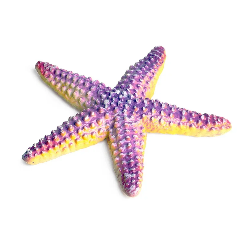 Scienza educativa ed educazione dei bambini giocattoli da spiaggia simulazione di stelle marine in plastica statica ornamenti decorativi modello animale marino