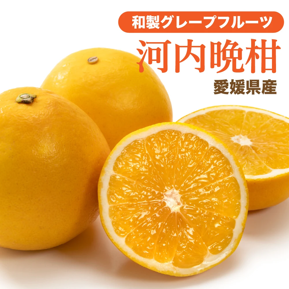 愛媛県産 河内晩柑（訳あり家庭用）和製グレープフルーツ 3kg・5kg・10kg