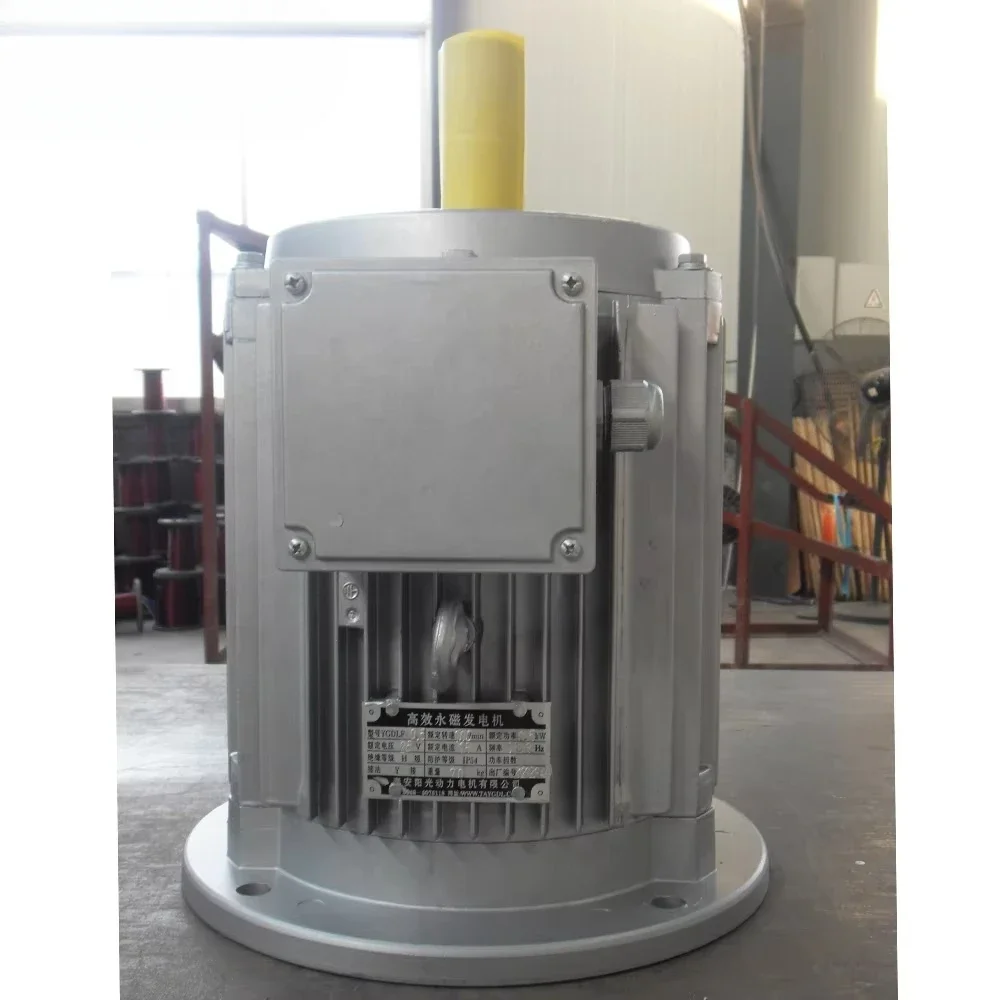 Generatore a magneti permanenti da 5 kW 10 kW 50 kW 100 kW 250 300 500 600 giri/min alternatore a magneti permanenti