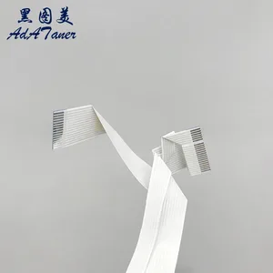 Kafadaki 6 büyük satış l1300-no. 3