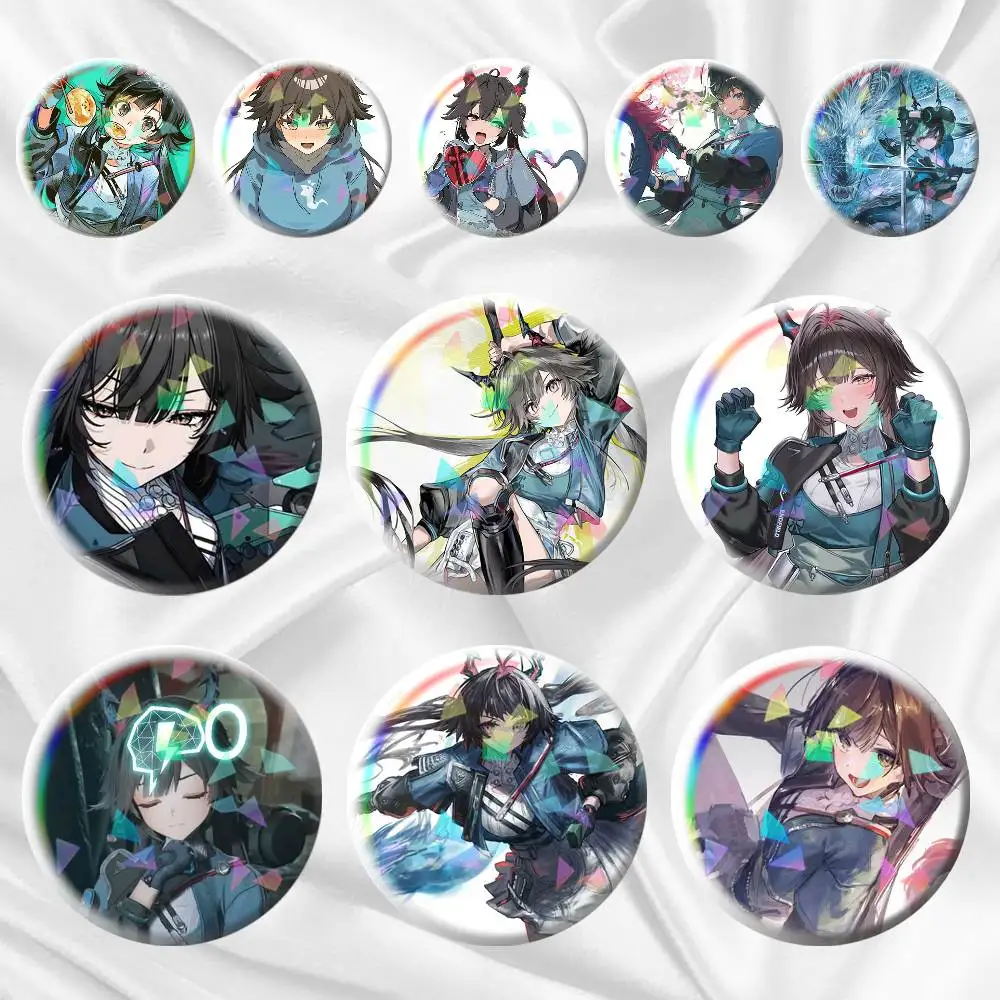 

Chen Qianyu Arknight Endfield 75mm 44mm 25mm Accessories Toys Badge Brooch Backpack Hat Pins