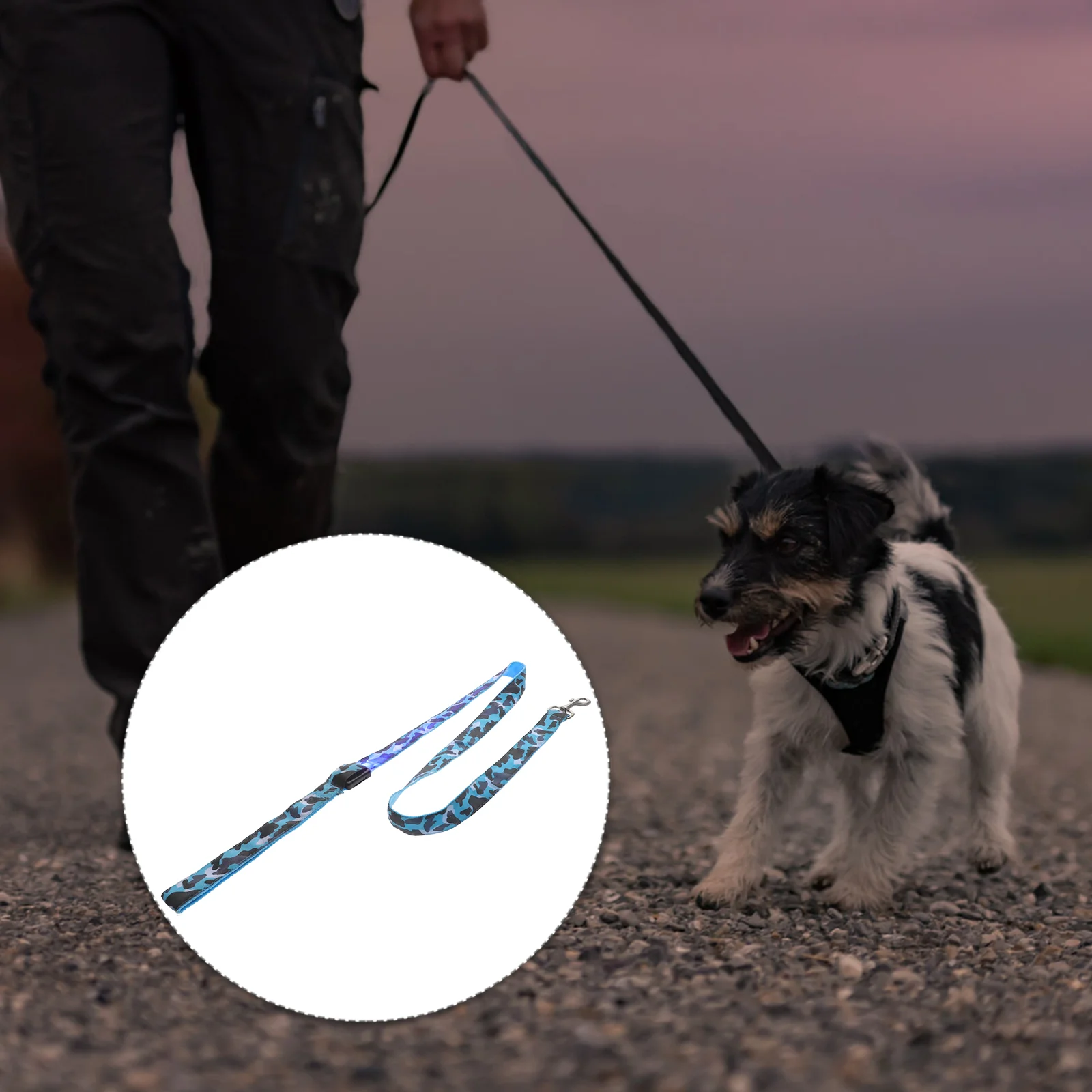 

Luminous Leash Dog Pulling Rope Cat Pet Walking Hauling Iron Outdoor Accessory Supplies