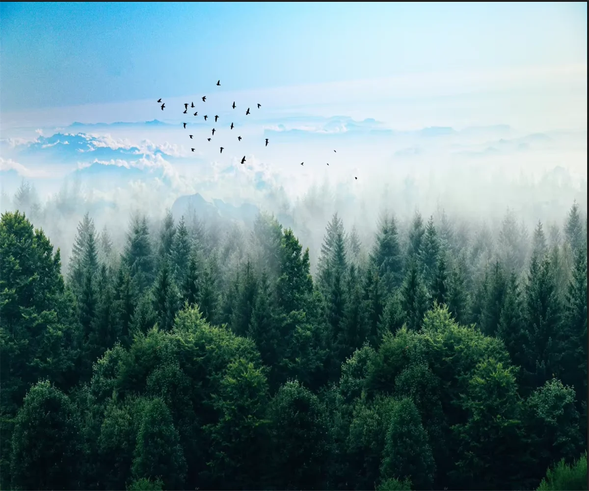Custom size wallpaper Sunshine forest mural home decoration primitive forest tree creek animal decorative painting 3d wallpaper