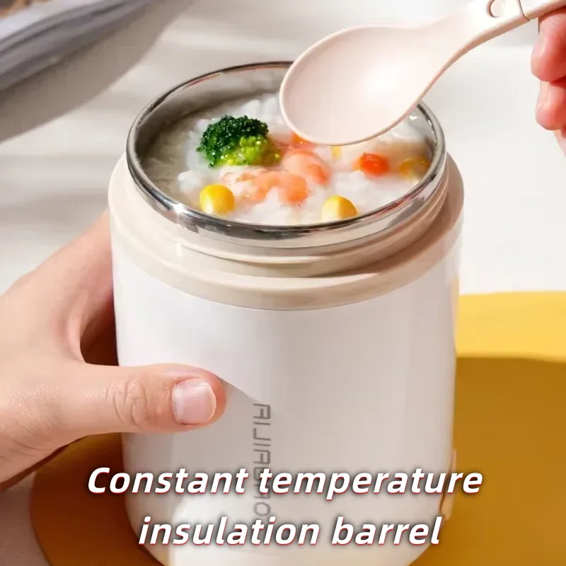 

600 мл USB электрический нагревательный ланч-бокс портативный пикник молочный напиток подогреватель еды из нержавеющей стали подогреватель еды контейнер 5 В 12 В 24 В