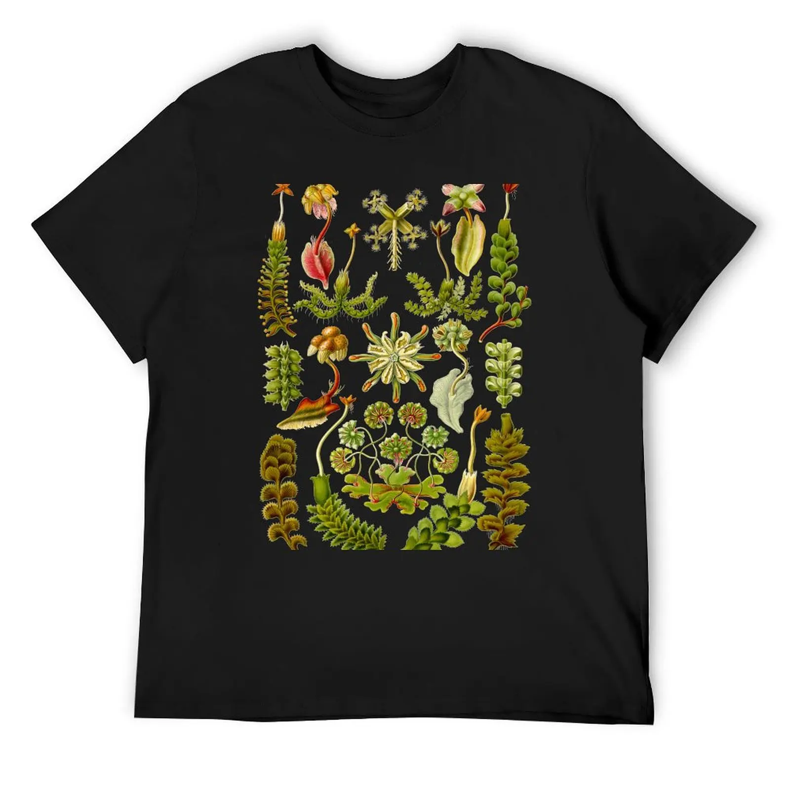 

Hepaticae - Ernst Haeckel T-Shirt anime stuff street wear shirts graphic tees Funny t-shirt mens t shirt graphic