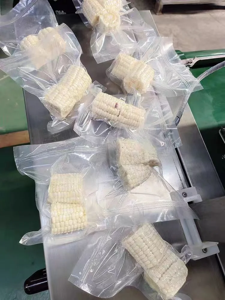 High Quality Home Use Semi-Automatic Vacuum Food Sealer Machine Fresh Packing Rolling Vacuum Packaging Film