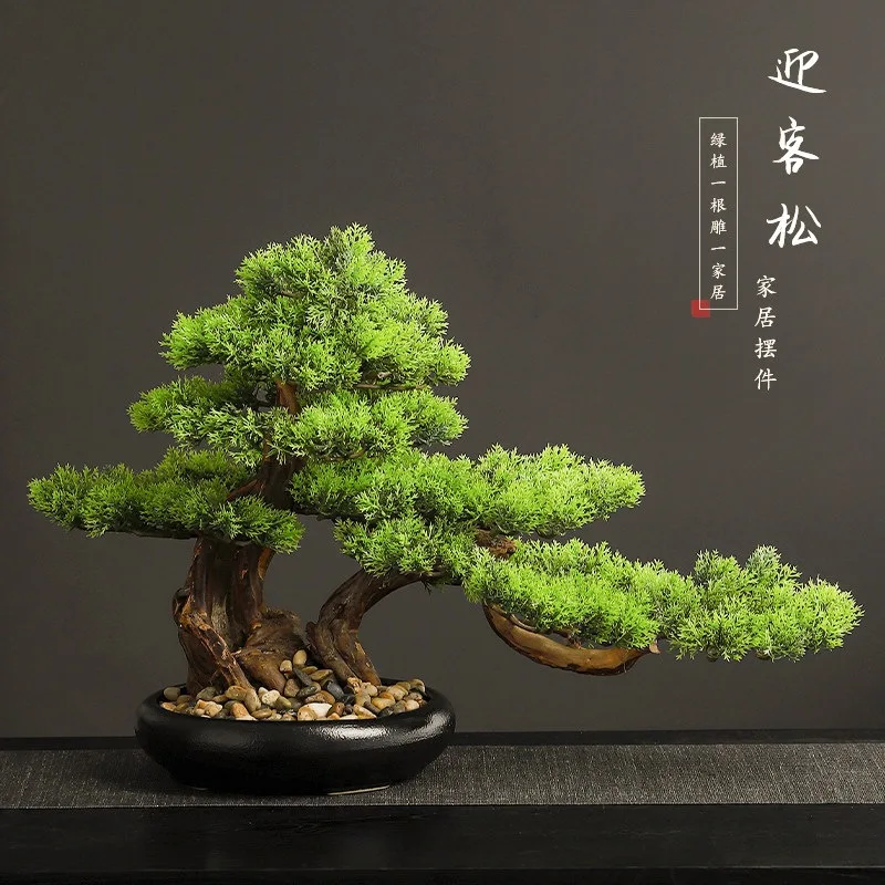 Welcome pine ornament home improvement simulation green plant potted living room porch office desktop beauty