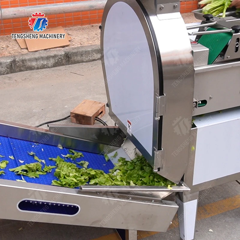 آلة مصعد الفاكهة للبيع بالجملة والتفاح الطازج والموز والبرتقال والعنب التعامل مع بناء متين من الفولاذ المقاوم للصدأ #2